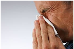 Allergie voor huisstofmijt rhinitis